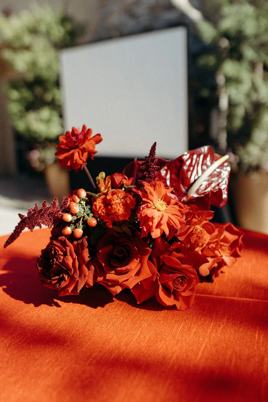 A bouquet of red and orange flowers resting on a red cloth with a movie projector in the background.