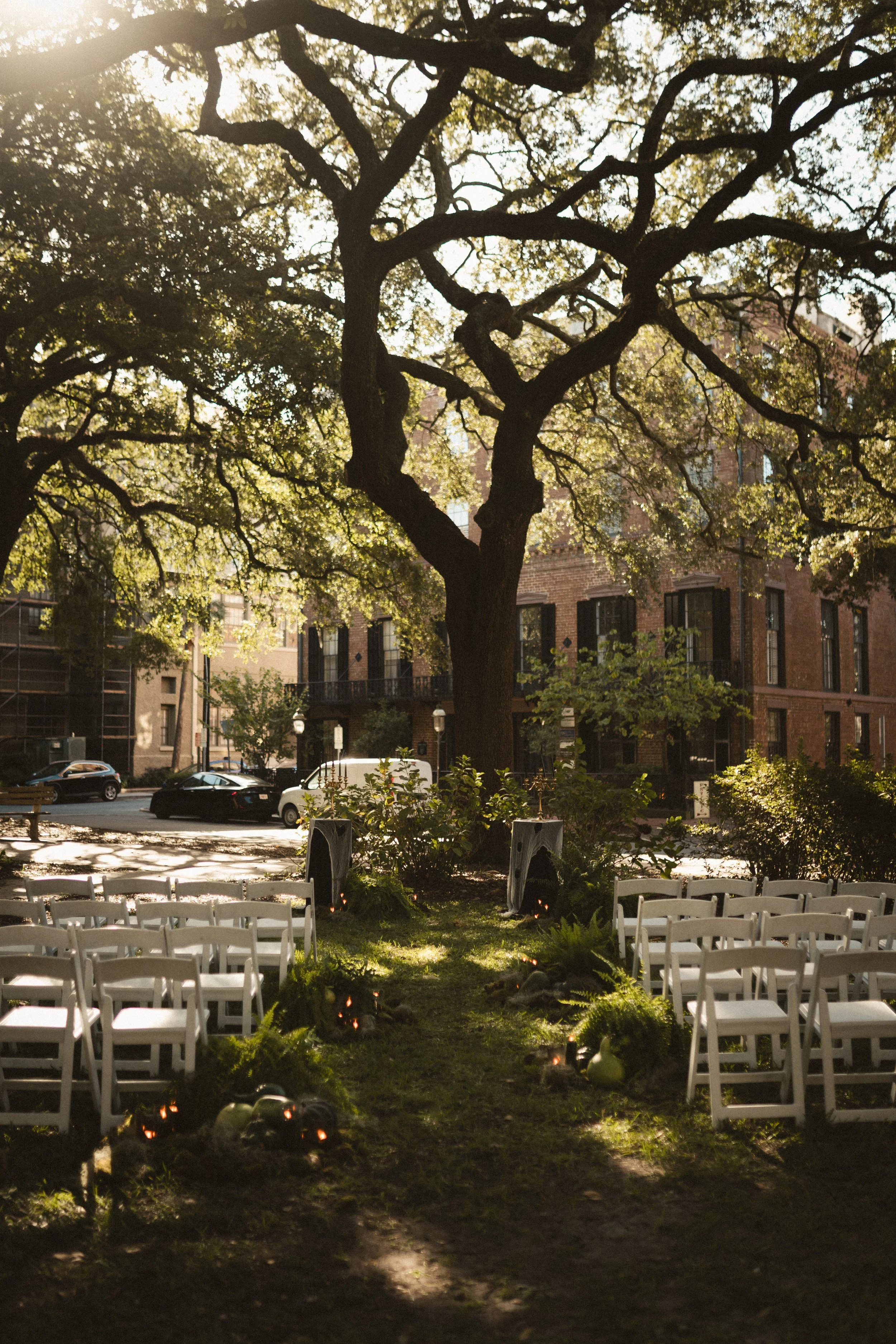Outdoor garden wedding ceremony beneath a large tree, with white folding chairs, greenery, string lights, and brick buildings.