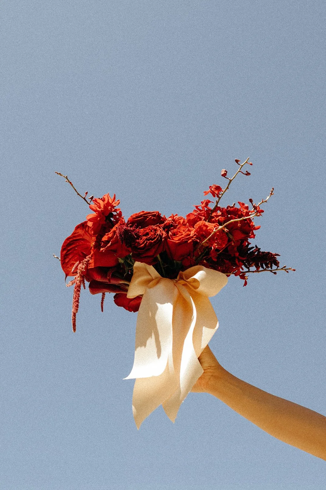 A hand holding a bouquet of red flowers with a cream-colored ribbon against a clear blue sky.