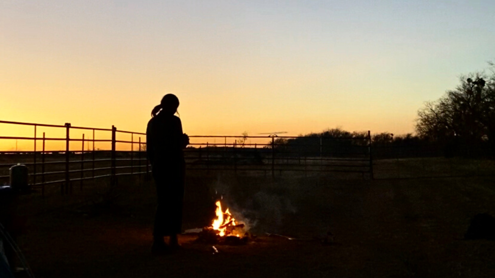 Bury Me Beneath the Magnolia Tree