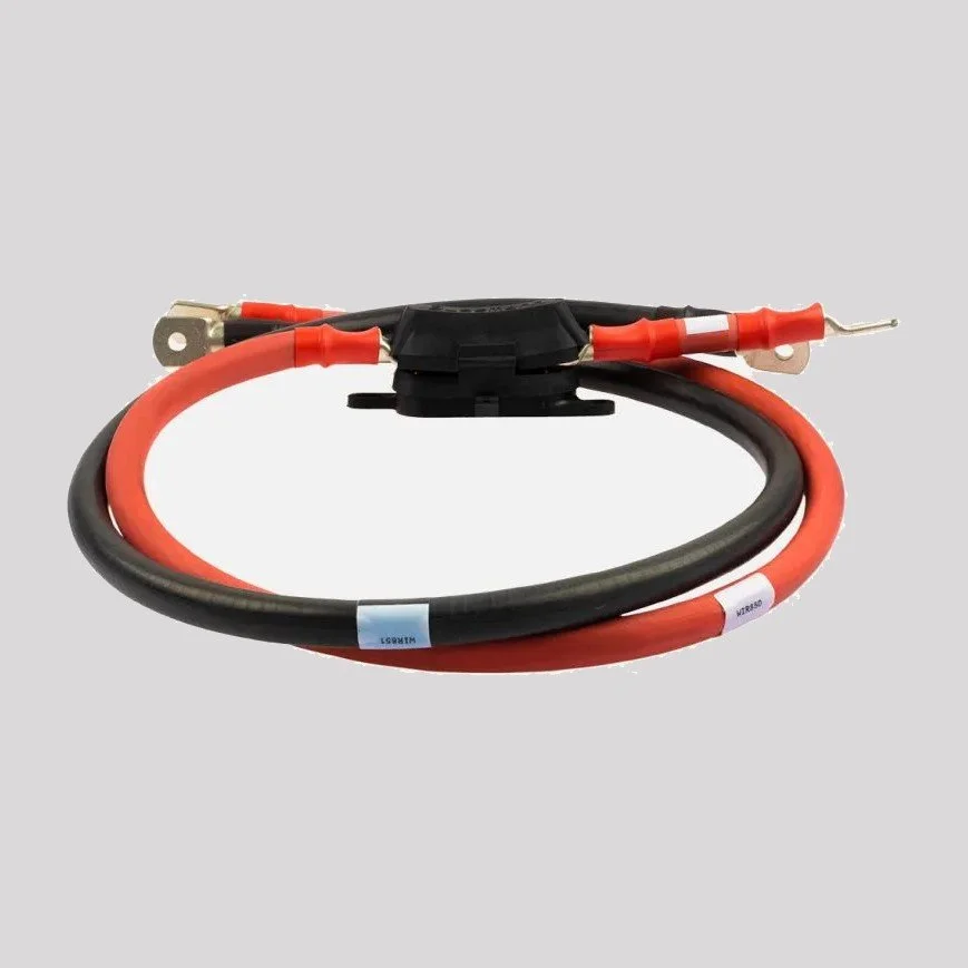 REDARC ICMS & Inverter Out Cable 500A (RS3WK-003) (photo 1 of 2)