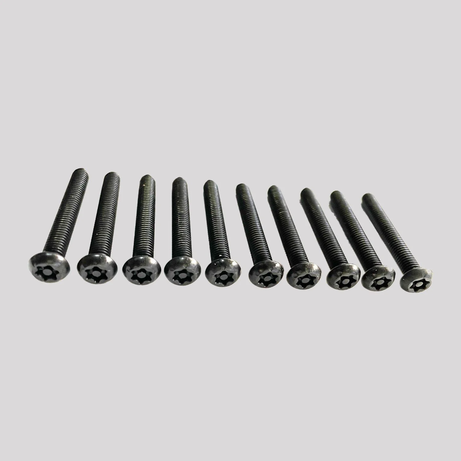 Defender Puma 2.2 / 2.4 Torx Screws (Pack of 10) – DDS Metals