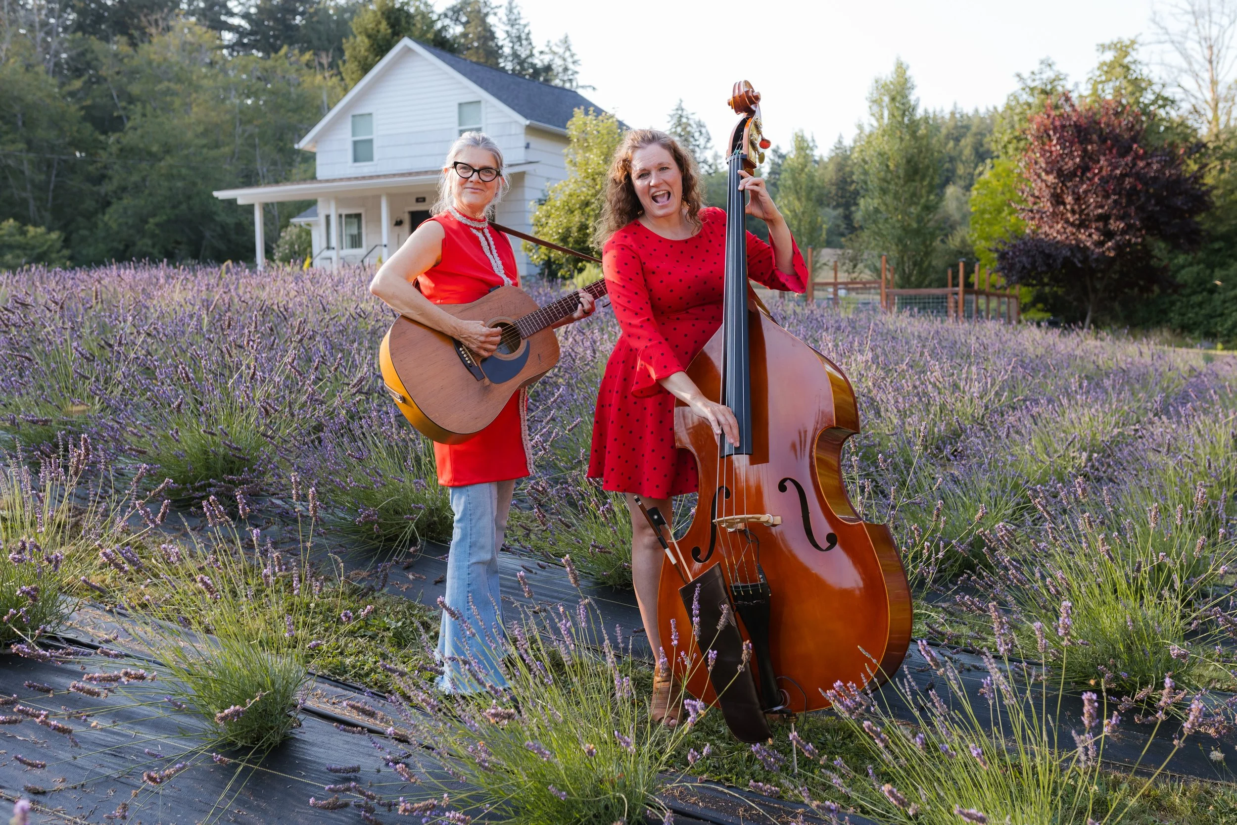 Blue Tree Farm, Bainbridge Island, WA