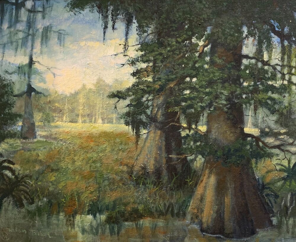 "Cypress Swamp"