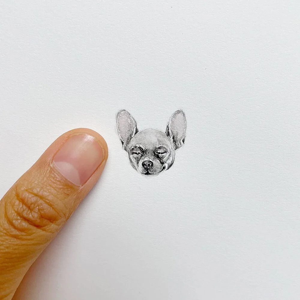 Hope your Monday is as zen as this lil nugget✨
#artists #localartists #smallbusiness #womeninbusiness #newyork #chihuahua #dogsofinstagram #dogmom #gifts #handmadegifts #petportrait #petart #watercolor #tinyart #monday #zen