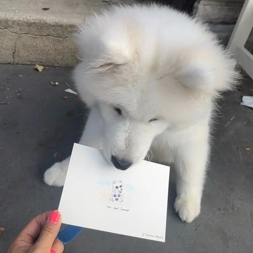 Drawing Hot Dogs Summer postcards at @chateaulewoof this Saturday (7/24) noon to 2pm. I will see all of your hot boys and hot girls there🐾
.
.
.
#artists #localartists #smallbusiness #womeninbusiness #newyork #dogsofinstagram #dogmom #gifts #handmad