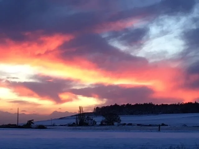 Winter At Ebey's Reserve