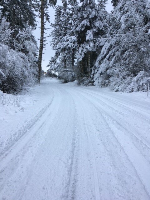 Winter 01.jpg