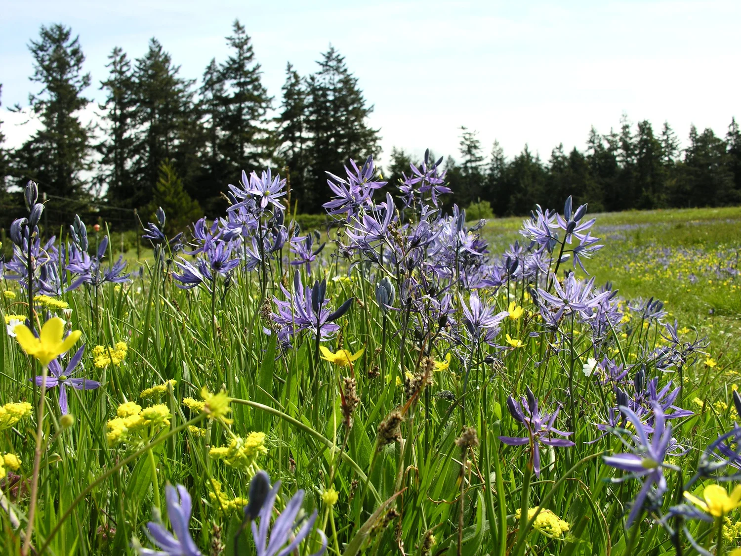 Ebey's Landing National Historical Reserve
