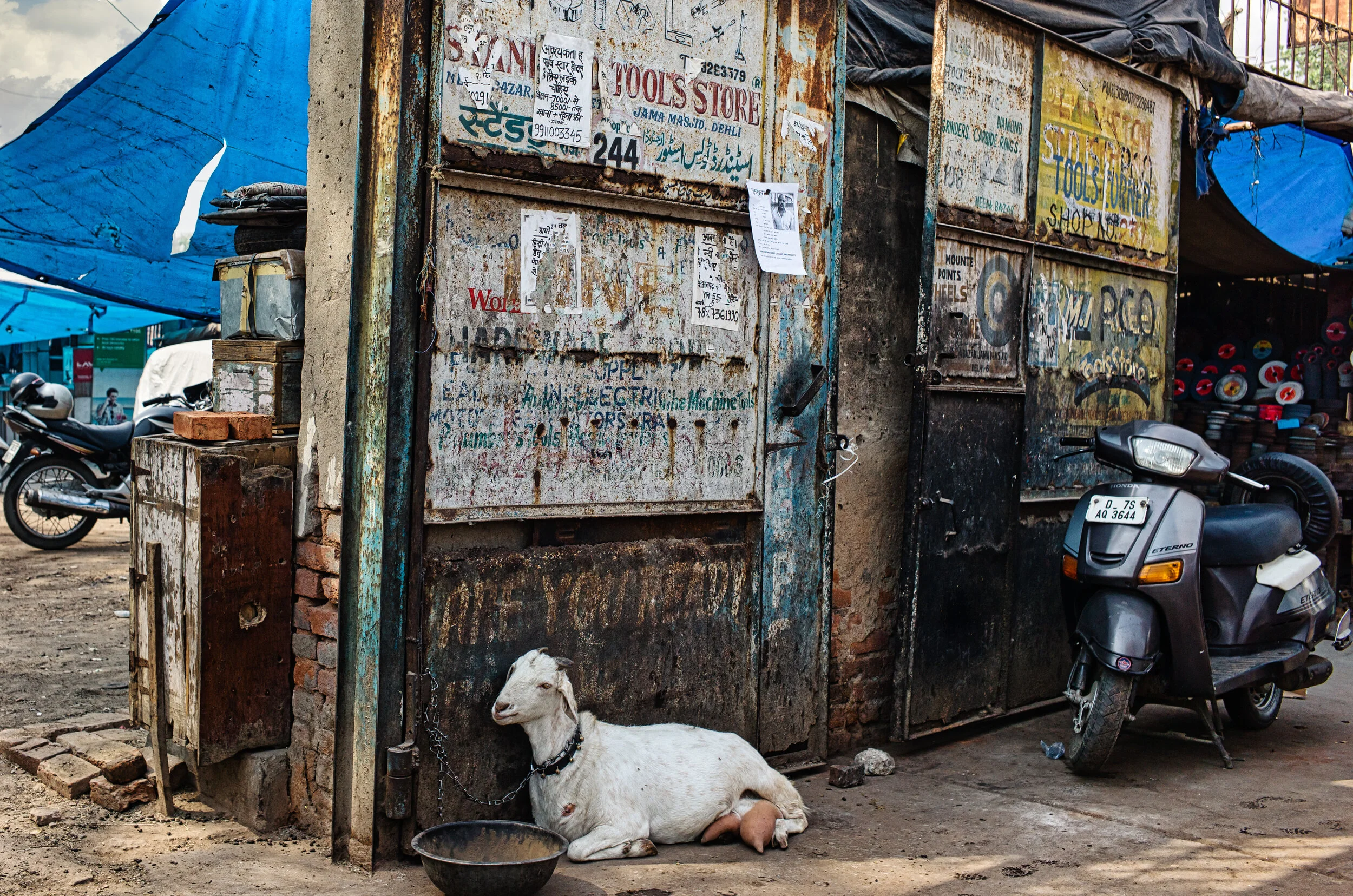 L1000141-Edit-3.jpg