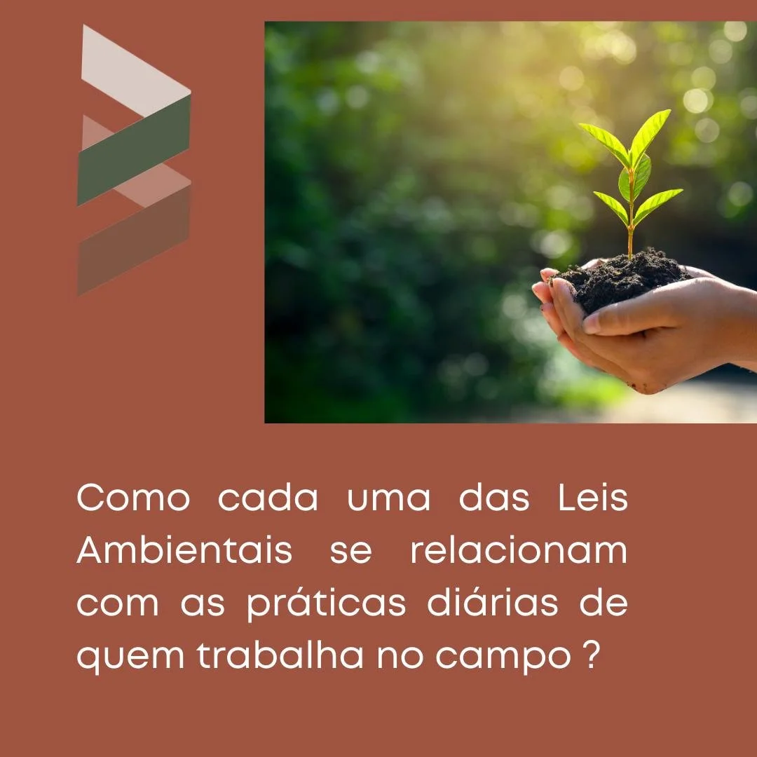 Como cada uma das Leis Ambientais se relacionam com as práticas diárias de quem trabalha no campo ? 