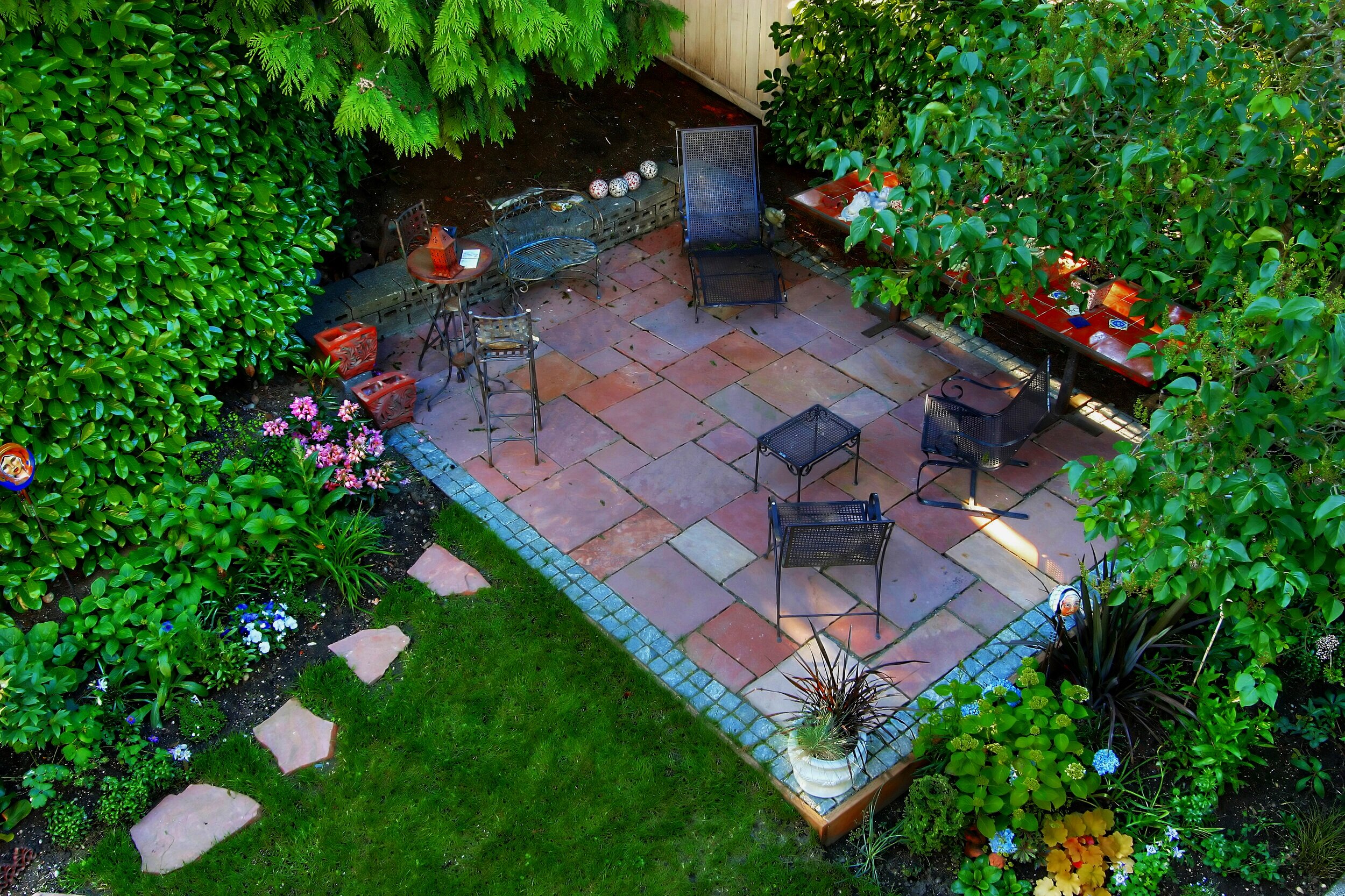 University+Backyard.jpg