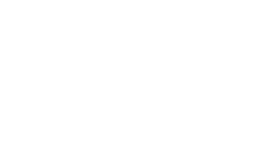 Christen Ireland