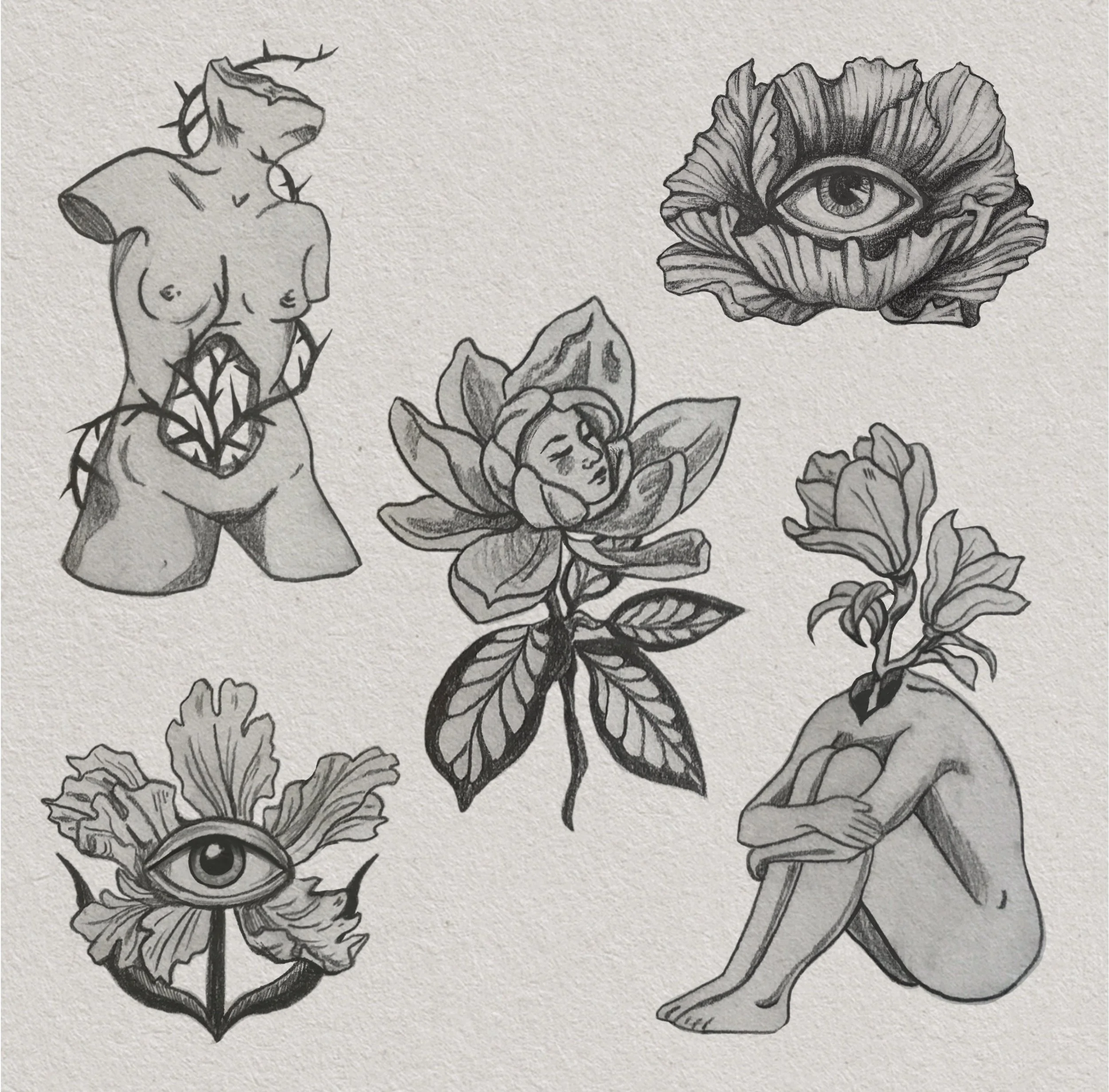 ✧ flower flash ✧
