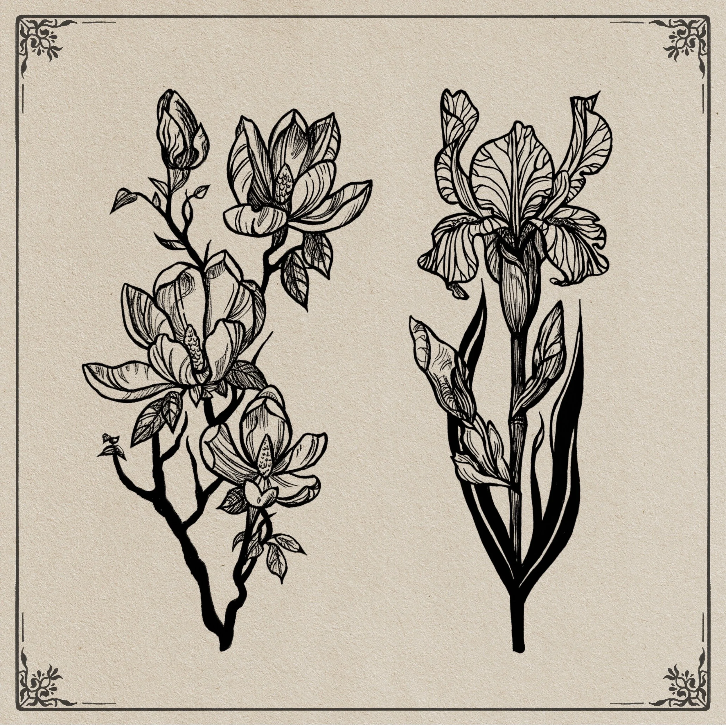 ✧ flower flash ✧