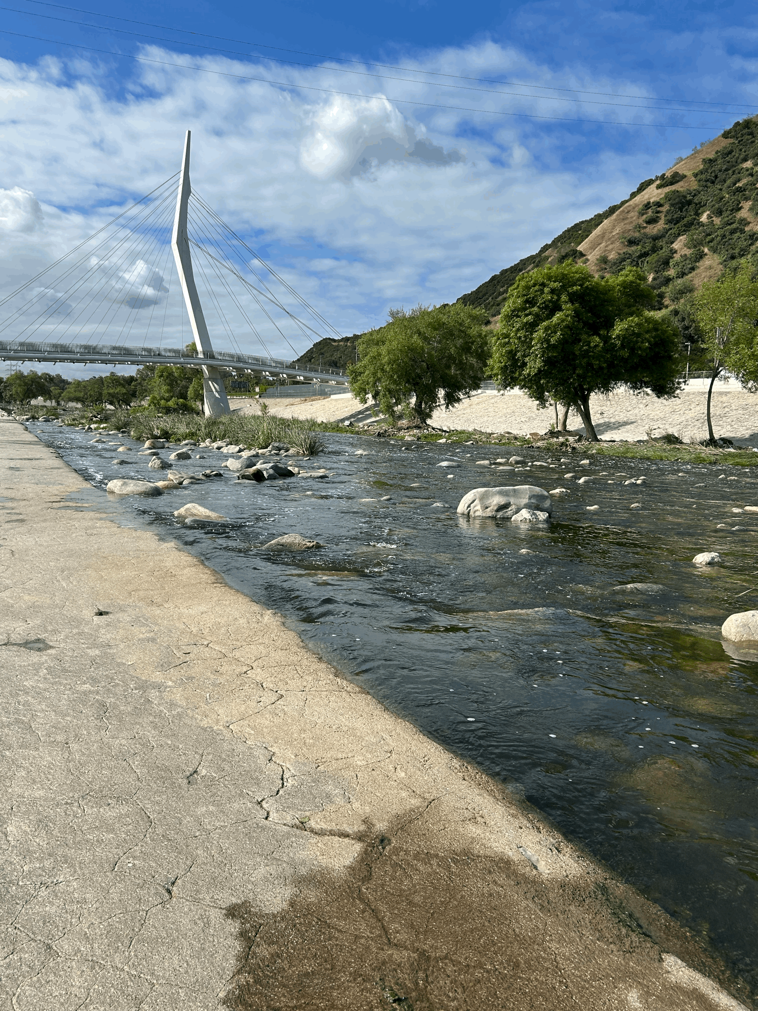 tempImagea3Vo9X.gif