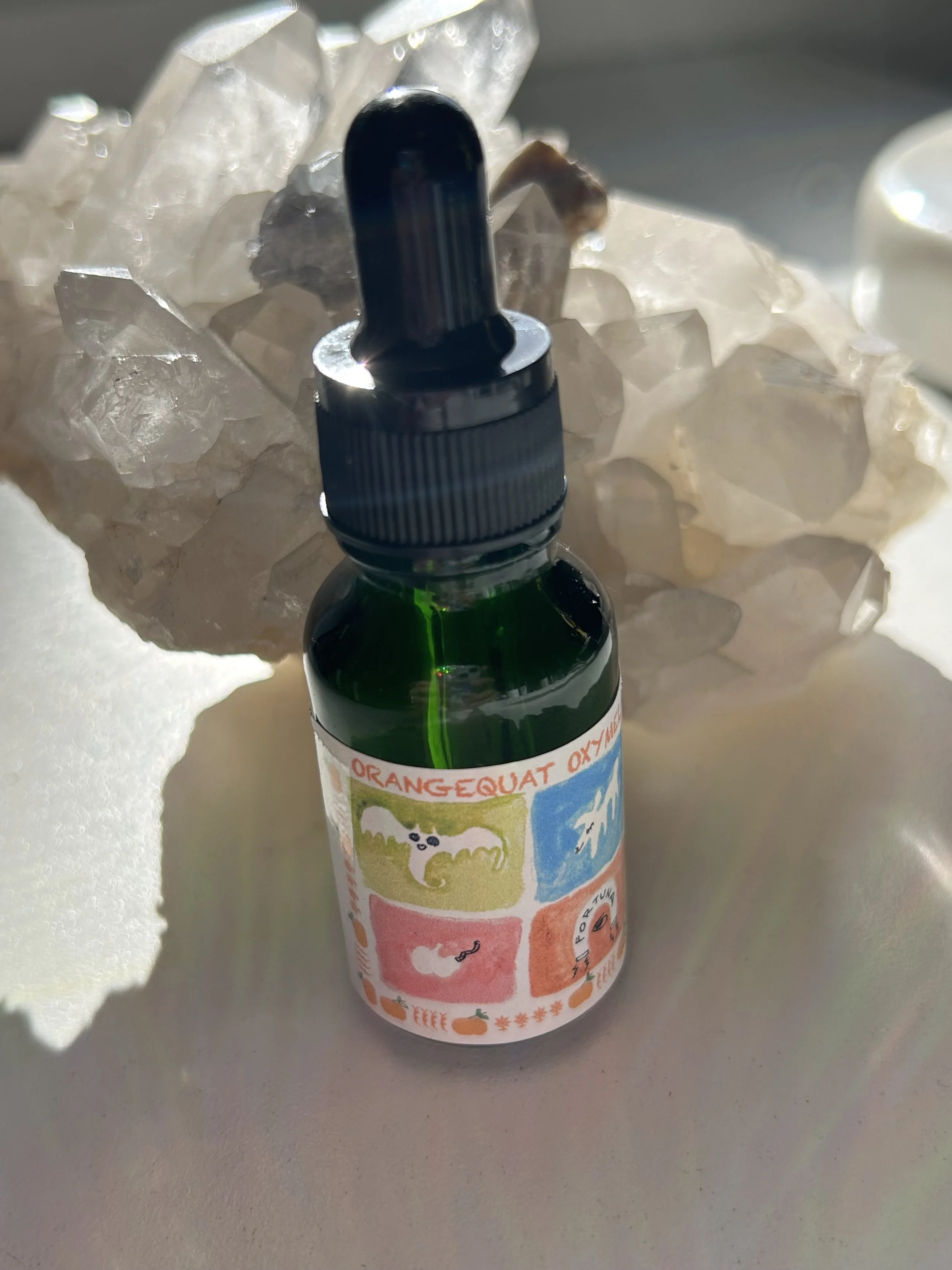 Fortuna Orangequat Oxymel 1/2 oz