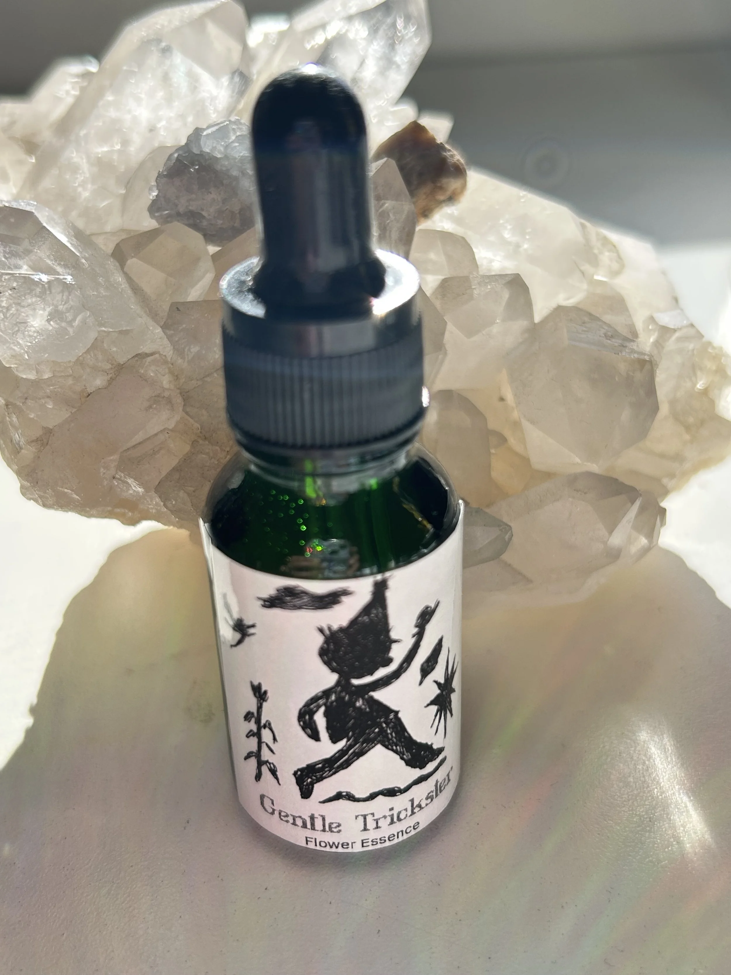 Gentle Trickster Flower Essence 1/2 oz