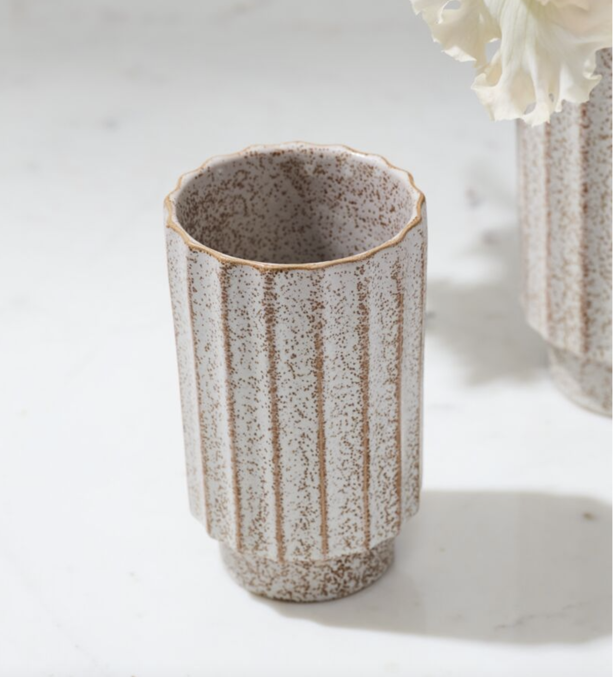 Screen Shot 2026-02-27 at 12.08.16 PM.png