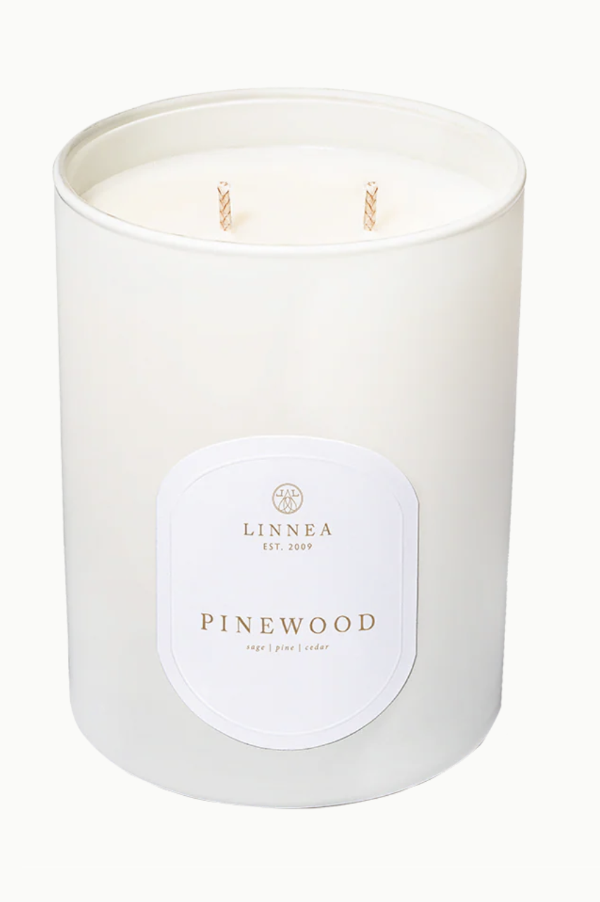 Screen Shot 2025-11-20 at 2.55.25 PM.png