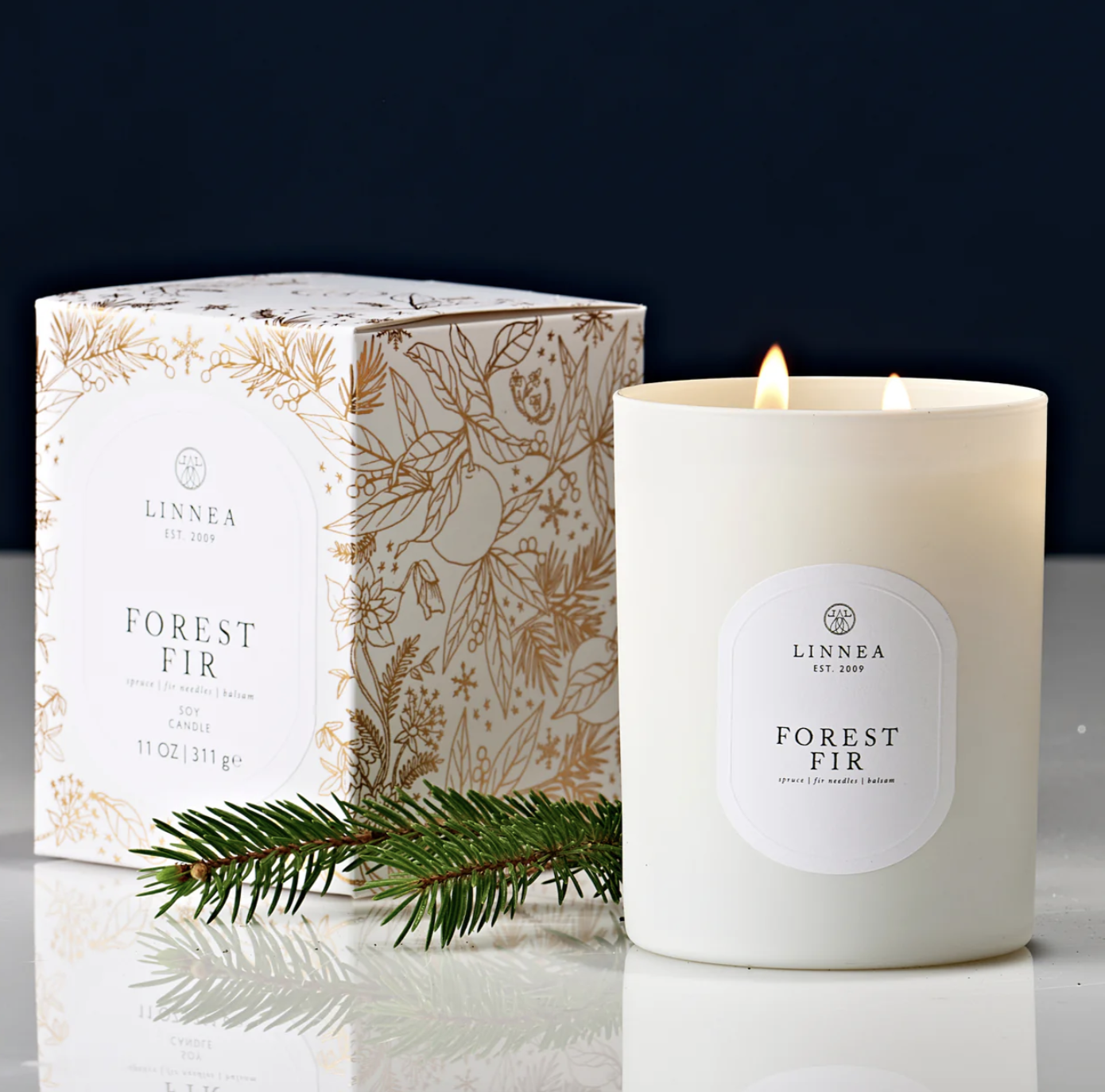 Screen Shot 2025-11-20 at 2.50.12 PM.png