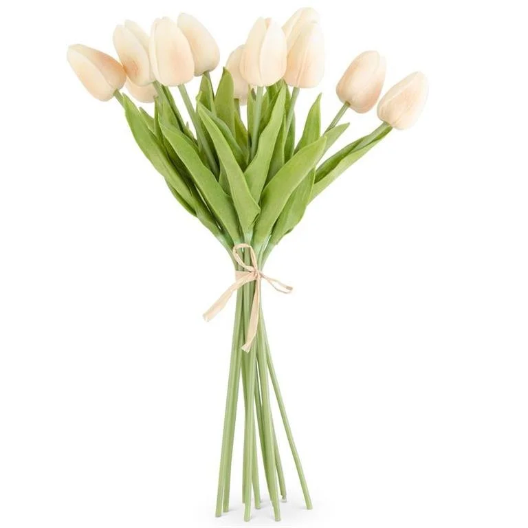 Tulip Bundle
