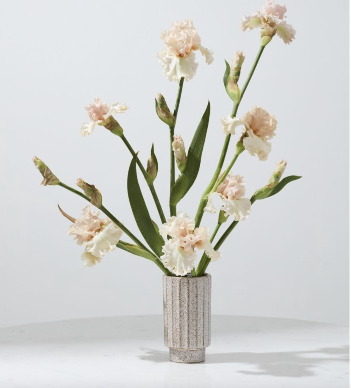 Screen Shot 2026-02-27 at 12.08.32 PM.png