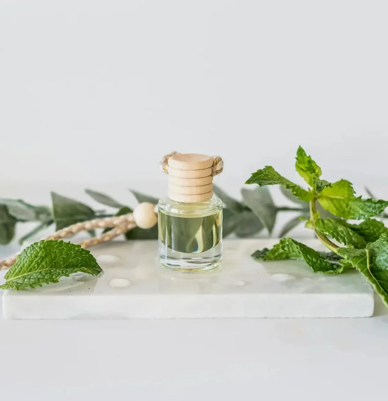 Eucalyptus Mint Car Diffuser