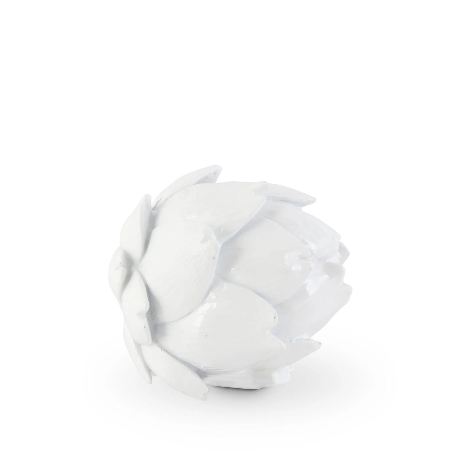 Glossy White Artichoke