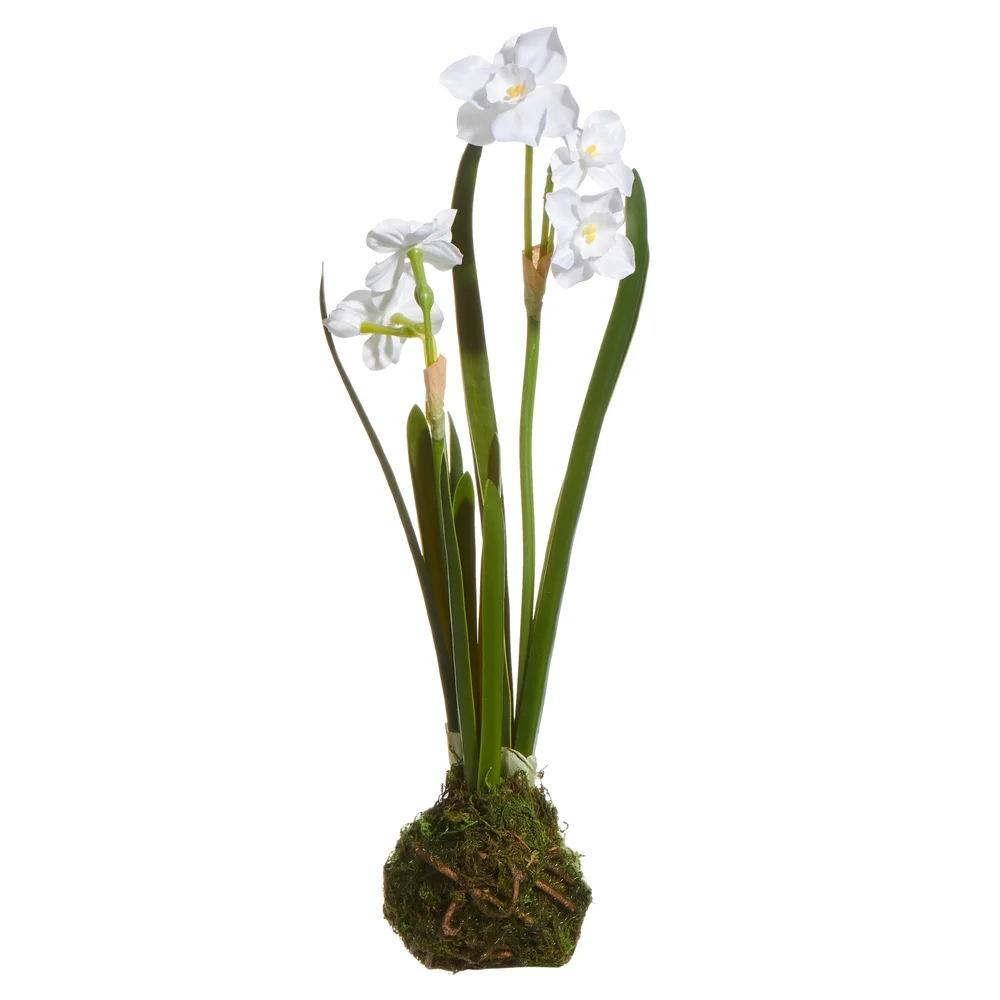 14" White Paperwhite Drop In