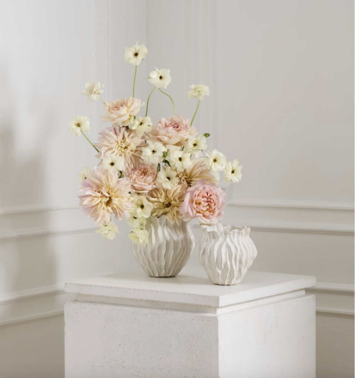 Screen Shot 2026-02-27 at 11.57.10 AM.png