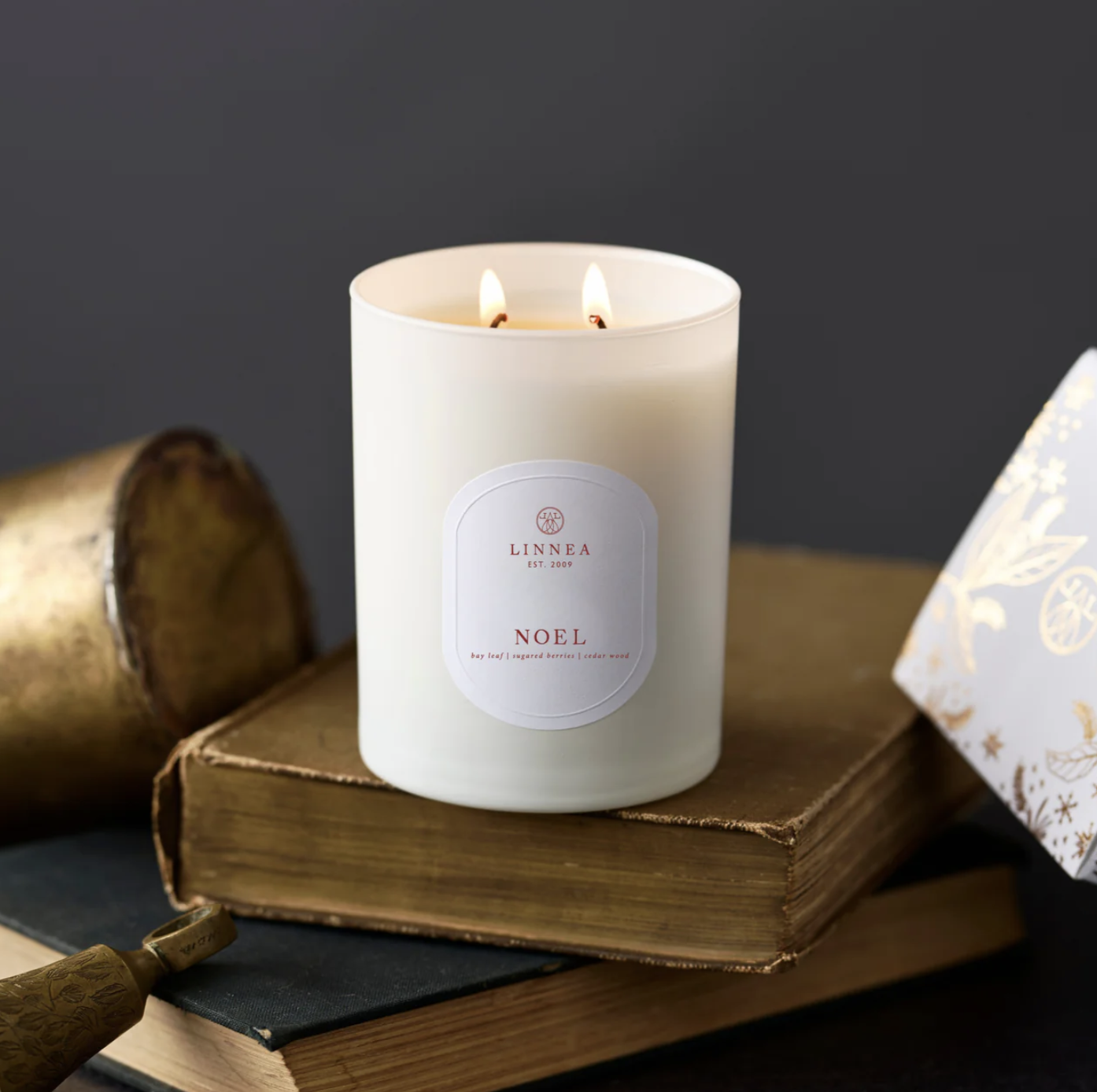 Screen Shot 2025-11-20 at 2.54.10 PM.png