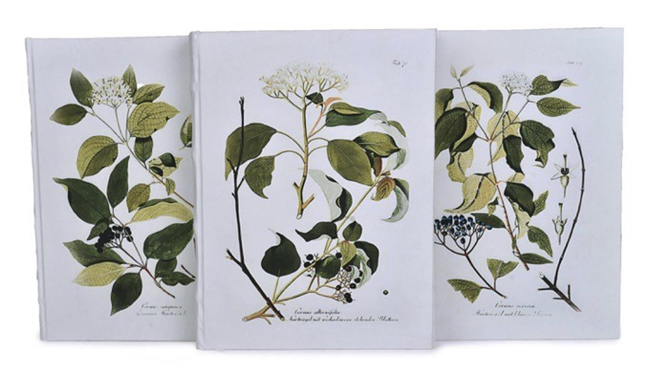 Screenshot 2026-04-03 at 3.24.21 PM.png