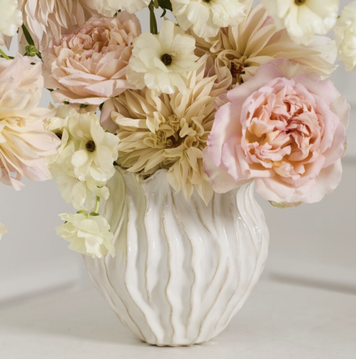 Screen Shot 2026-02-27 at 11.56.56 AM.png