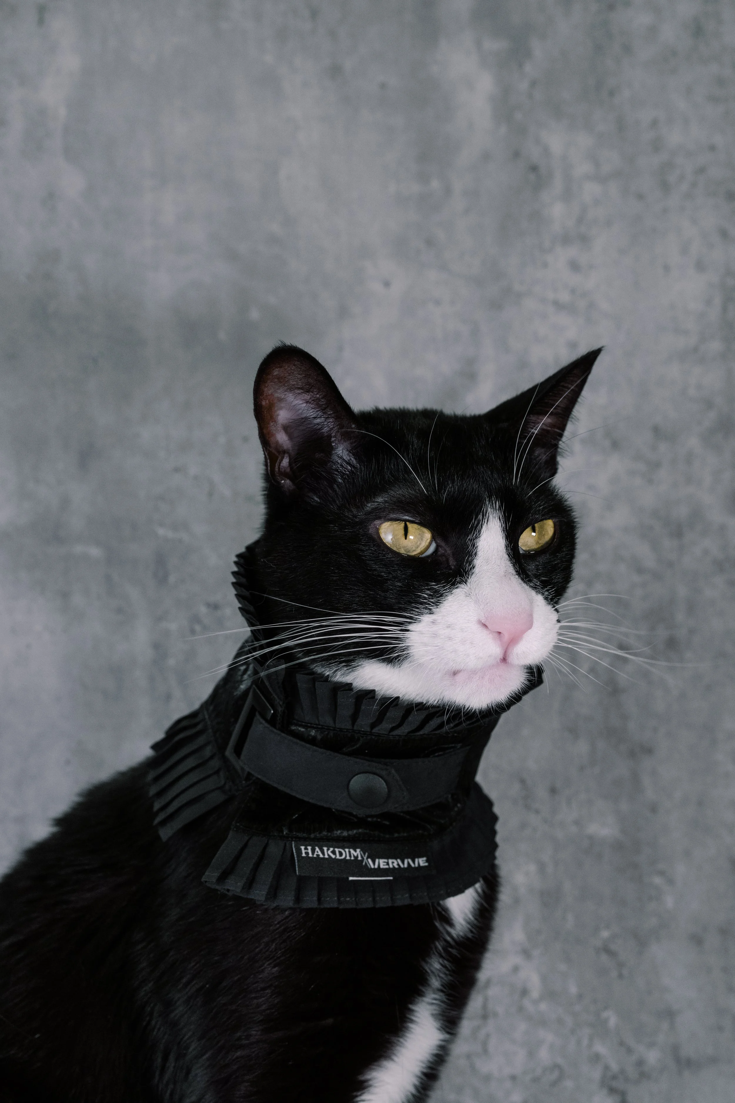 HAKDIM x VERVVE Step Pleated Pet Neckerchief