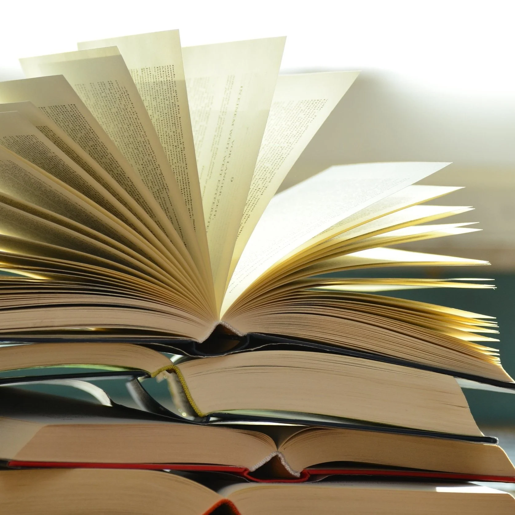 All Things Minnesota Book Club: This is What America Looks Like by Ilhan Omar