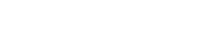 Logo with the text 'the White Ducks' in stylized white font.