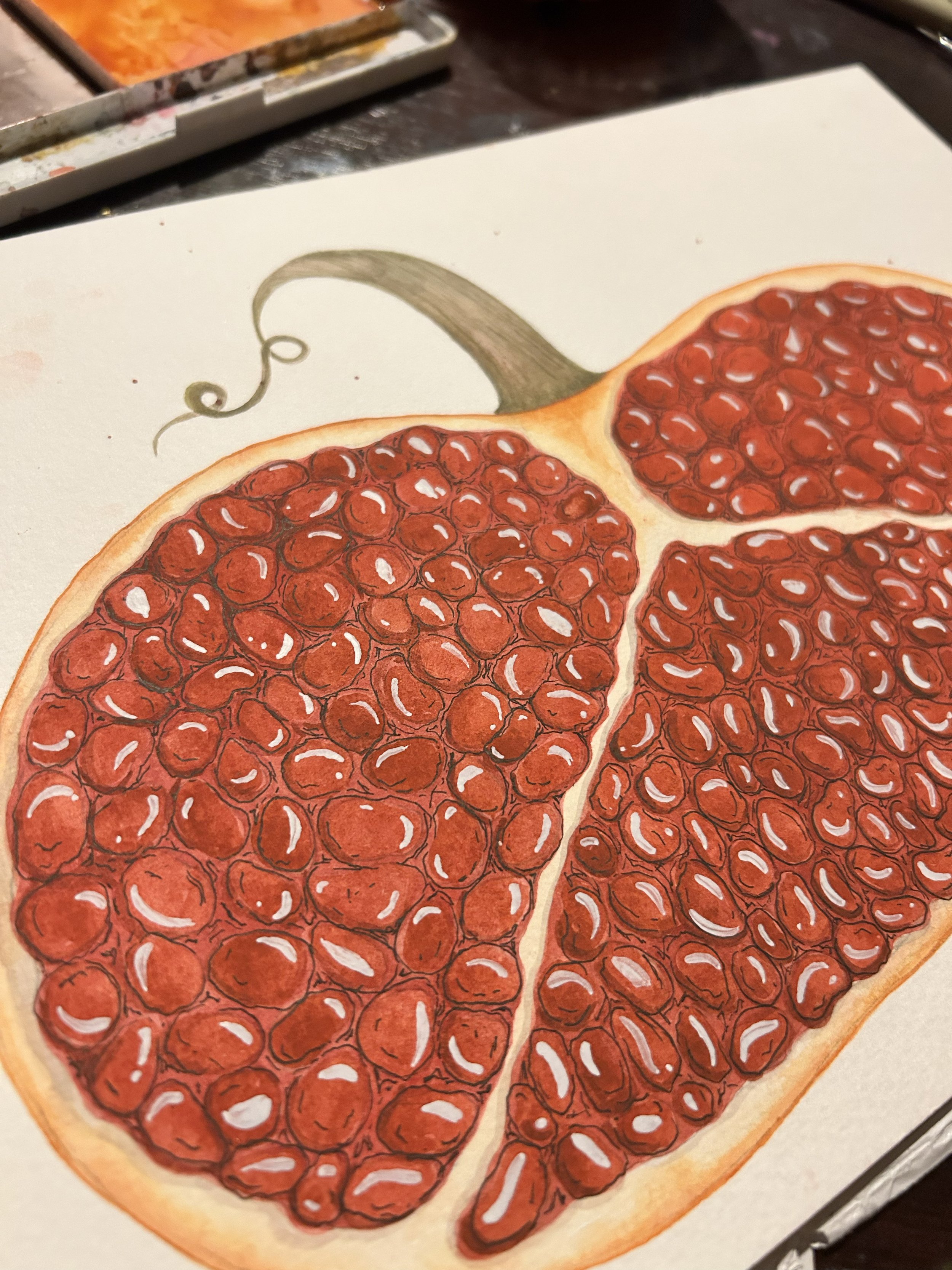 A detailed drawing of a pomegranate cut in half, displaying the red seeds inside. The drawing is on paper, with art supplies visible in the background.