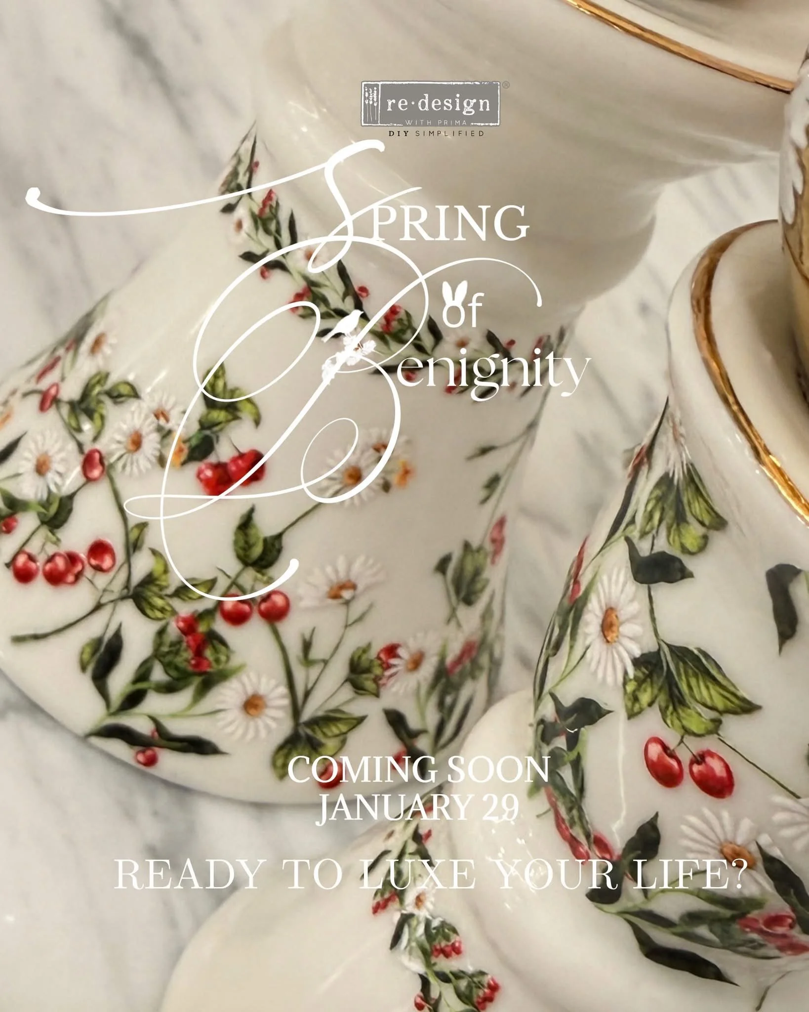 Daisy Cherry Delight Luxe 5.jpg