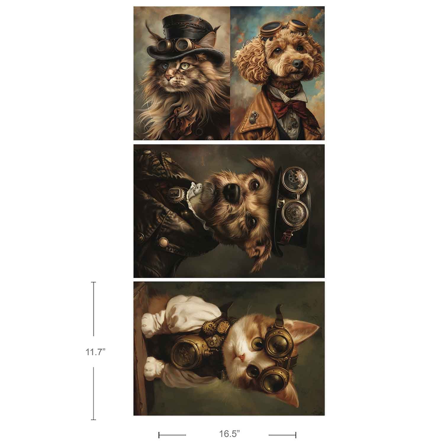 A3 Favorite Pets 1.jpg