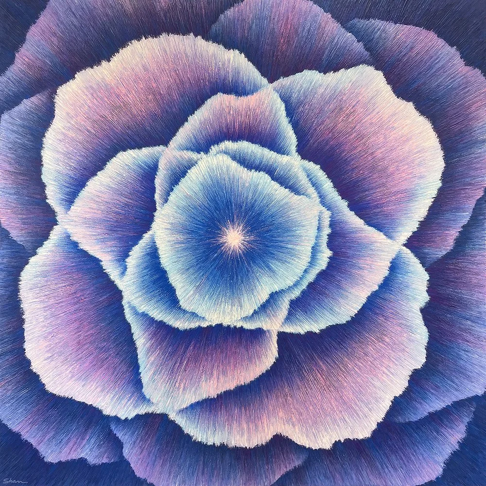 Cats Eye Nebula 1000px.jpg