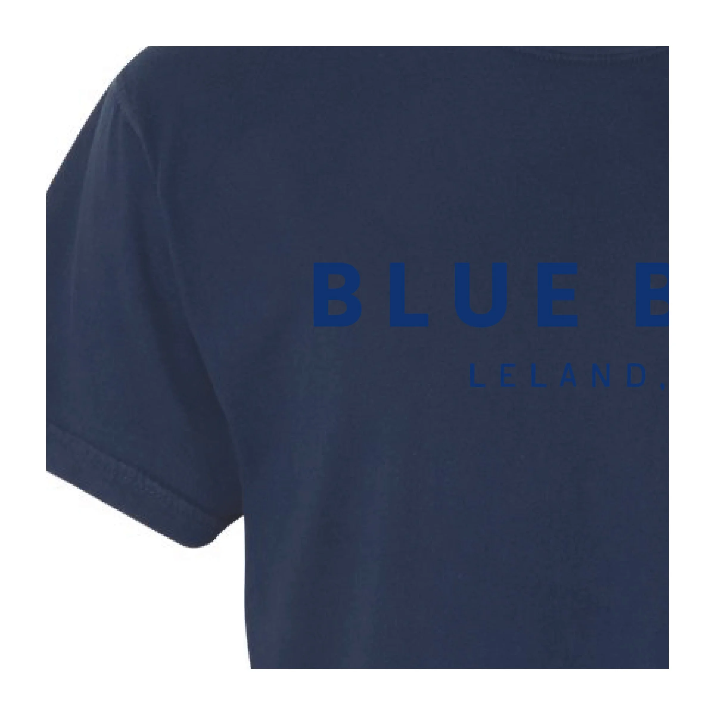 Blue Bird_Tone on Tone-12.jpg