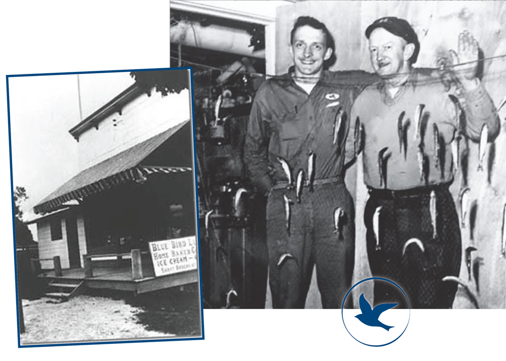 History The Bluebird Restaurant And Tavern history-the-bluebird-restaurant-and-tavern