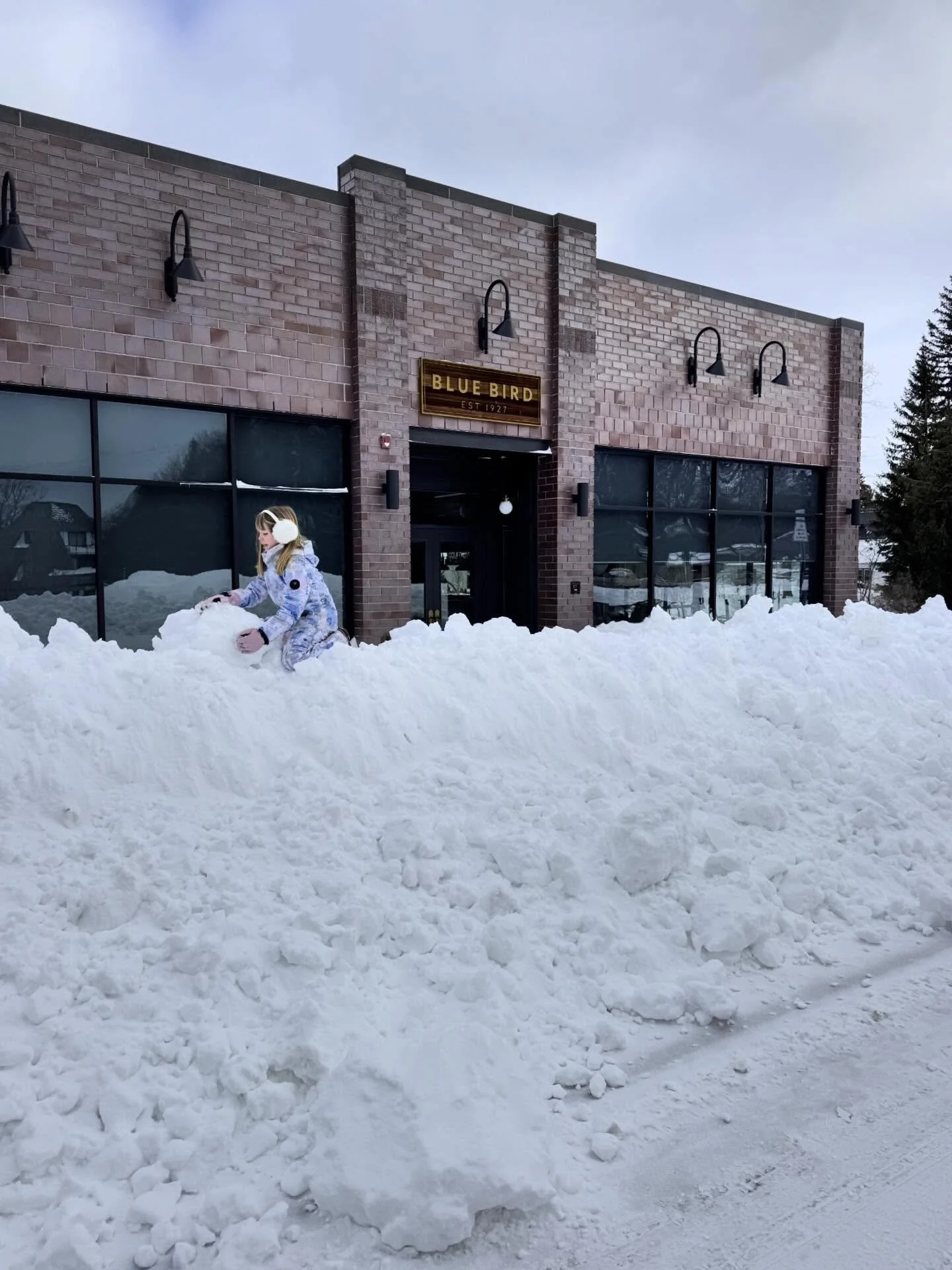 Talk about a walloping from that midwestern blizzard! 

😅 ❄️ 

#lelandmichigan #leelanaucounty #bluebirdofleland @lelandmi