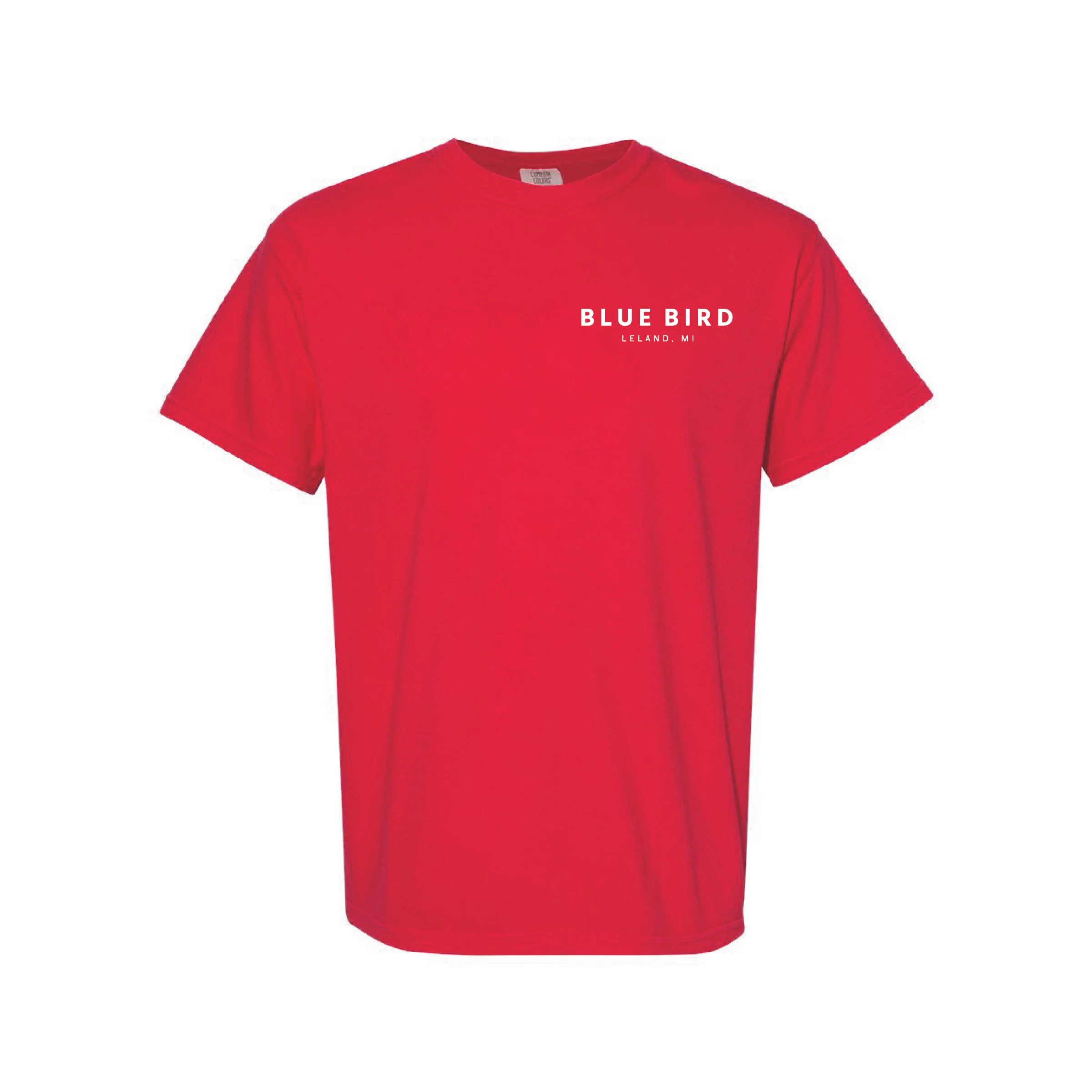 Blue Bird_Neon-15.jpg