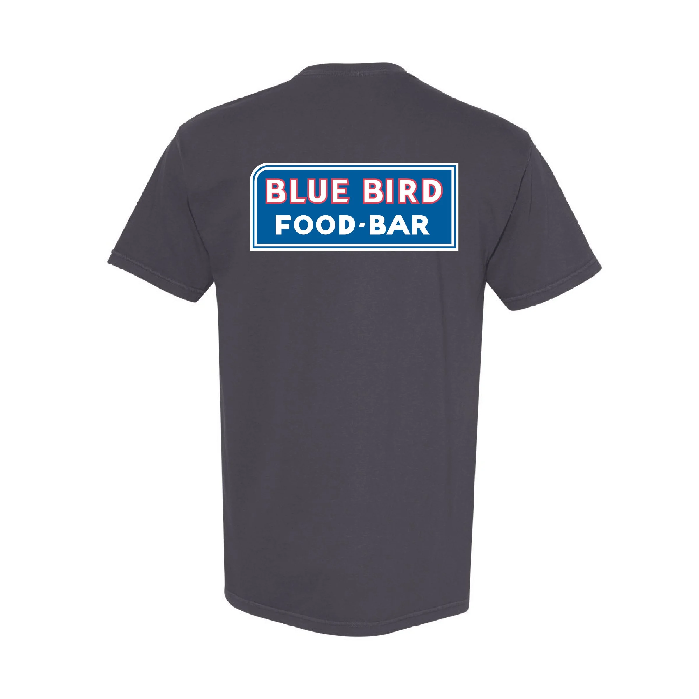 Blue Bird_Neon-18.jpg