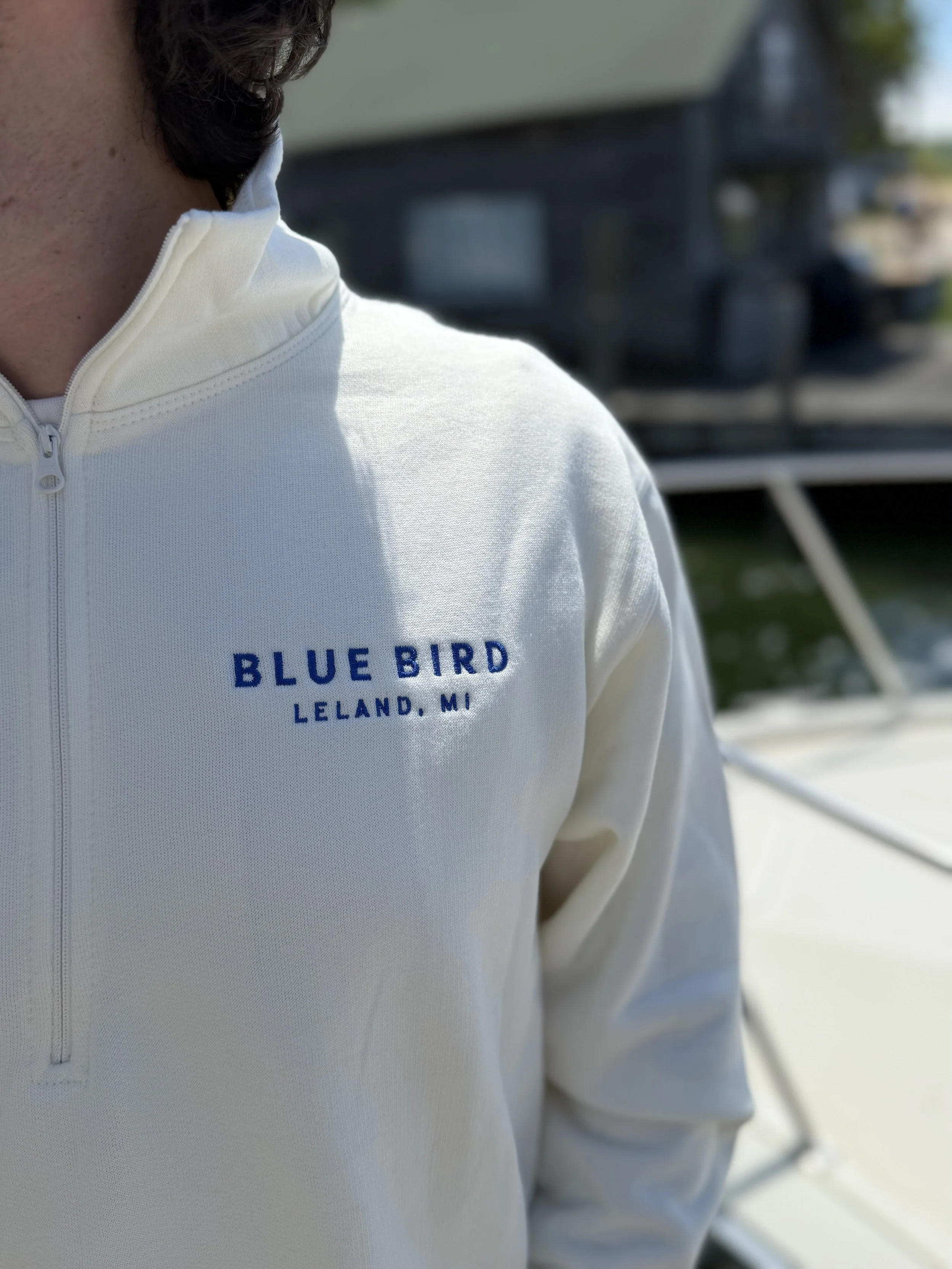Blue_Bird_Zip_-_embroidery.jpg