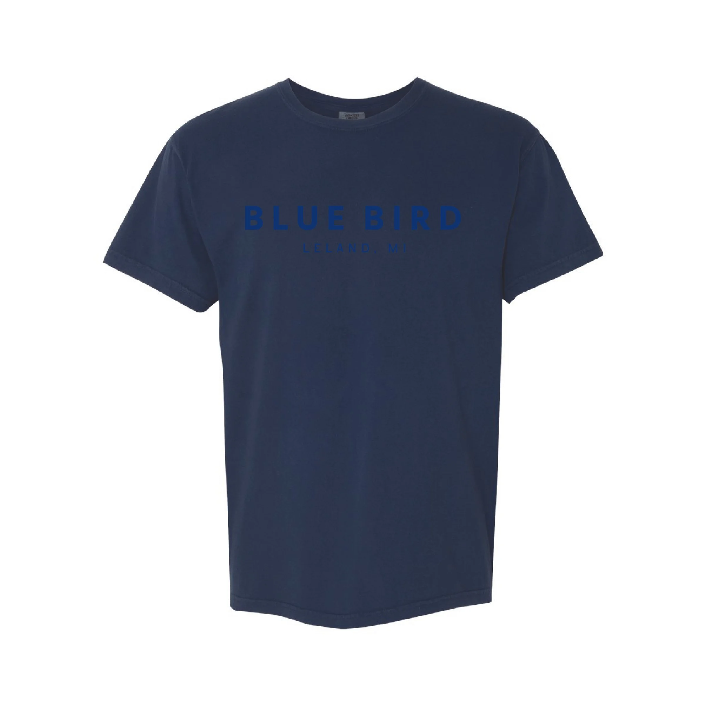 Blue Bird_Tone on Tone-11.jpg