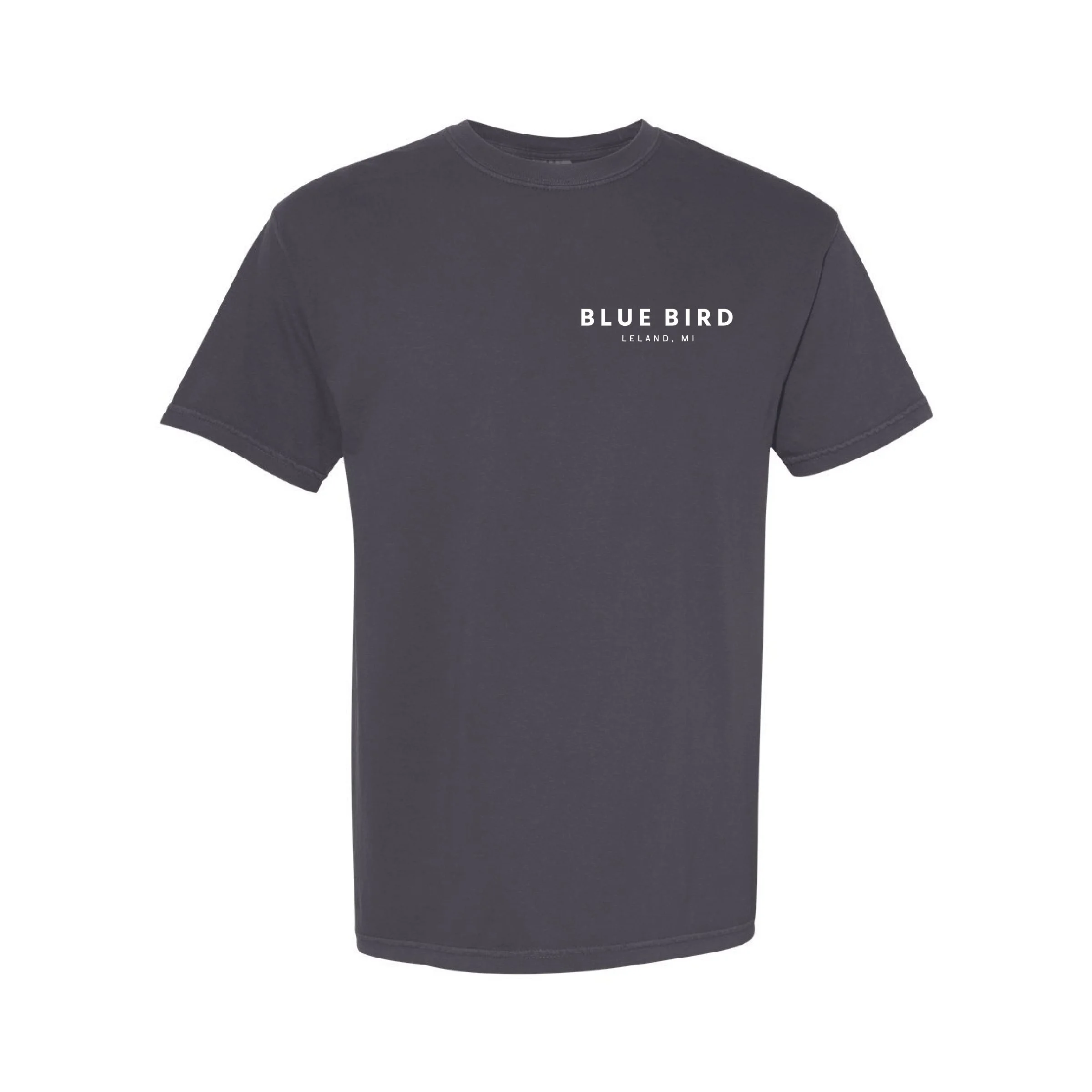 Blue Bird_Neon-17.jpg