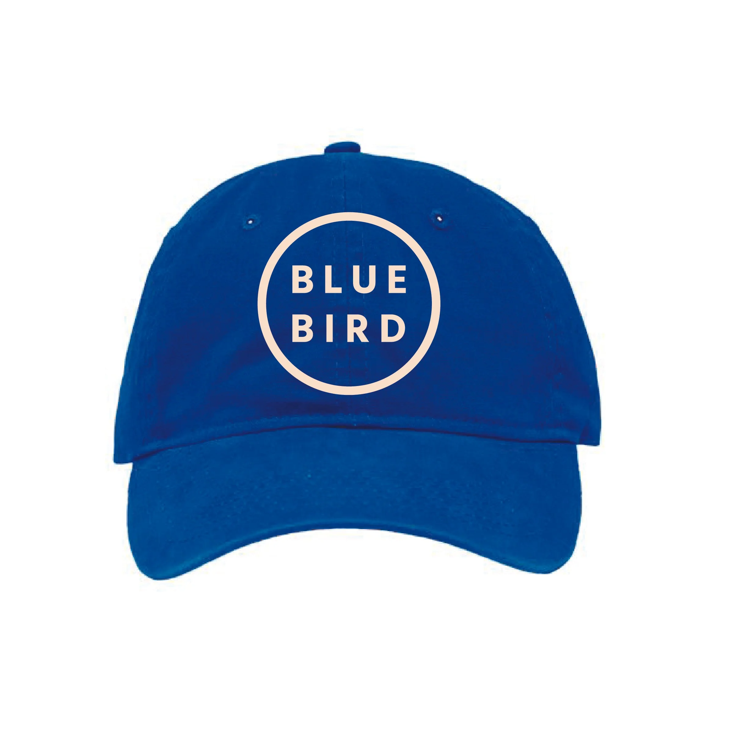 Blue Bird Hat-20.jpg